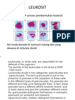 Leukosit: - Leukopoiesis Proses Pembentukan Leukosit - Sel Seri Leukosit