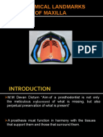 Anatomical Landmarks of Maxilla