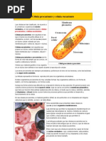 Célula Procarionte y Célula Eucarionte