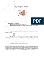 Anatomy and Physiology of The Ear