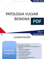 Guía Gráfica Patología Vulvar