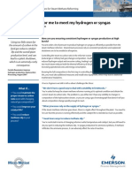 Emerson Gravity Meter Brochure For Steam-To-Carbon Ratio Control