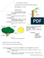 Ficha Formativa Ciências 6