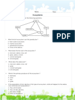 Ecosystem and Relationships