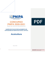 Bases Concurso SFOCA PNIPA 2020 2021 ACUI