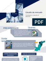 Estudio de Mercado-Formulación Proyecto