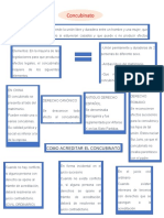 El Concubinato. Mapa Conceptual Derecho Civil