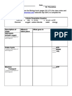 Cellular Respiration Worksheet