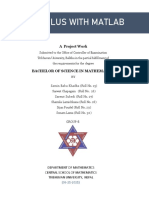 Calculus With Matlab: A Project Work