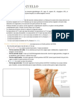 Nervios de La Cabeza y Cuello