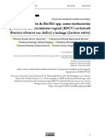 Evaluación de Bacillus Spp. Como Rizobacterias Promotoras Del Crecimiento Vegetal (RPCV) en Brócoli Var. Italica) y Lechuga (Lactuca Sativa)