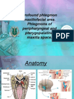 4 Profound Phlegmon Maxillofacial Area