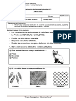 Prueba N°2 Ciencias U2