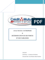 Rapport Crédit Mutuel