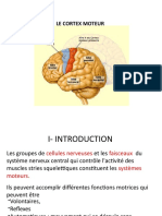 Cortex Moteur 2019