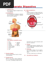 Aparato Digestivo