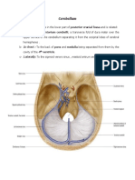 Anatomy of Cerebellum