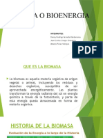 Biomasa o Bioenergia