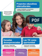 Proyectos Educativos Interculturales