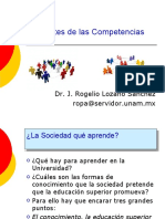 Los Límites de Las Competencias Elaborada A Partir de Ronald Barnett