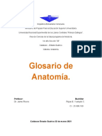 Glosario de Anatomia..