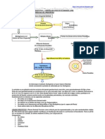 Hiperplasia Prostática Benigna (HPB)