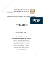 Temario Derecho Civil