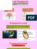 Tipos de Propagación