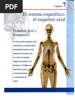 Cap 7.el Sistema Esquelético-El Esqueleto Axial