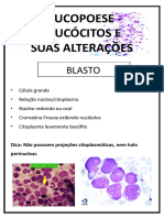 Leucopoese - Leucócitos e Suas Alterações