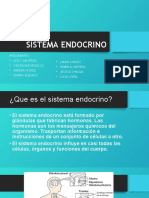 Sistema Endocrino F