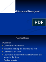 XX Popliteal Fossa and Knee Joint