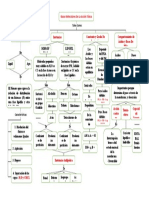 Mapa Conceptual