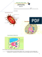 Cell Quiz