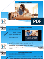 Curso Cuidador de Idossos Aula - Cuidados Com A Pessoa Idosa