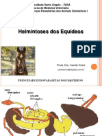 Aula 4. Helmintoses em Equinos. PDF t6