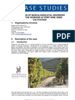 MSDs at Port Wine Vines Cultivation - PT