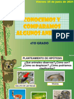 25 de Junio-Comparamos Los Animales Vertebrados