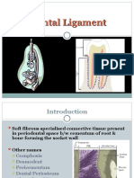 Periodontal Ligament 1