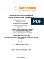 Informe Final - Practicas Preprofesionales