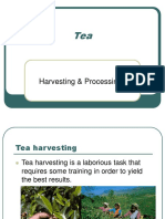 Lecture 5 (Harvest &process)