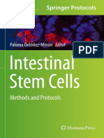 Intestinal Stem Cells Methods and Protocols by Paloma Ordóñez-Morán