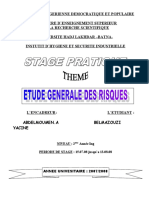 Rapport de Stage Aout 2008