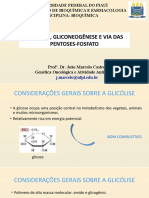 Glicolise e Gliconeogenese Apresentação Ok