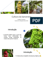 Cultura Da Banana