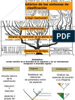 Clase 2 - 2014 - Sistemas de Clasificacion-Nomeclatura Botanica