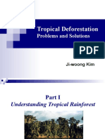 Tropical Deforestation: Problems and Solutions