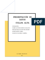 Presentacion de Datos - Cullpa Alta