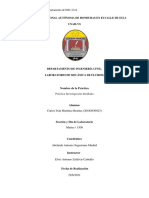 Carlos Martinez - InvestigacionDetallada - LabMecanicadeFluidos.