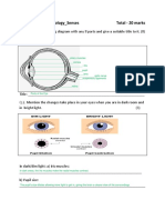 Grade 6 Biology Worksheet